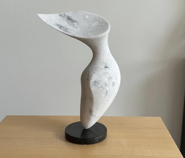 Michael z Binkley Wing