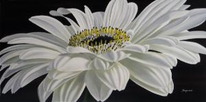 Dennis Magnusson White Gerbera
